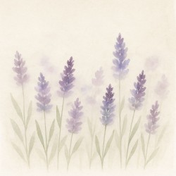 Estor Cocina Lavanda – Translúcido, Opaco o Screen | Estores Iroa