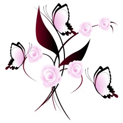 Estor Juvenil Mariposas y Rosas Rosa | Estores Iroa