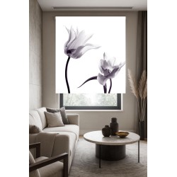 Estor de Tulipanes Blanco y Negro | Elegante y Moderno