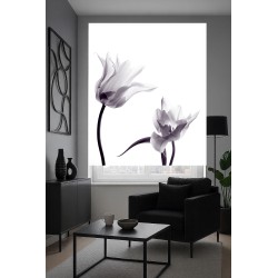 Estor de Tulipanes Blanco y Negro | Elegante y Moderno