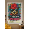 Estor Juvenil Perro Graffiti Personalizado | Estores Iroa