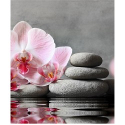 Estor Enrollable Baño Zen con Orquídea Rosa | Decoración Spa Moderna