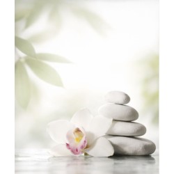 Estor Enrollable de Baño Spa Zen a Medida | Diseño Natural Moderno