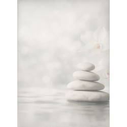 Estor Enrollable de Baño Spa Zen a Medida | Diseño Natura Piedras Blancas | Estores Iroa