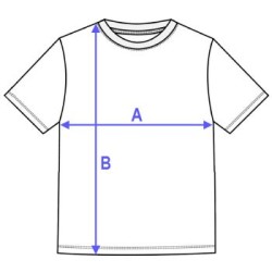 Camiseta Ascenso a Papá Completado Personalizada con Nombres