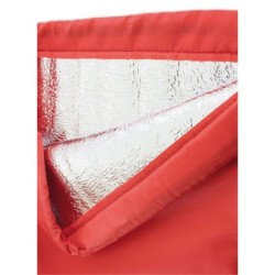  Saco infantil Termico Goku 002