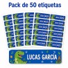 Etiquetas Escolares Personalizadas Dinosaurio | Estores Iroa