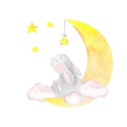  Estores Infantiles Niña Conejito 004