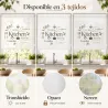 Estor Enrollable Cocina Kitchen Multilingüe | Estores Iroa