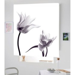 Estores Estampado Floral 123