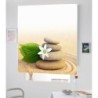 Estores Para Baño Zen 123