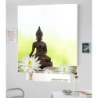 Estores Para Baño Buda 101