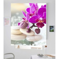 Estores Decorativos Baño Zen 105