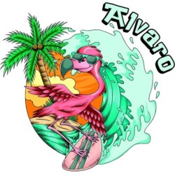  Camiseta Infantil Presonalizada Surf 012
