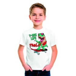 Camiseta Infantil Presonalizada Dinosaurios 010