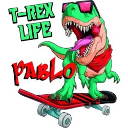  Camiseta Infantil Presonalizada Dinosaurios 010