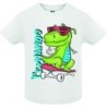  Camiseta Infantil Presonalizada Dinosaurios 009
