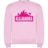 Sudaderas personalizadas Basica Fortnite