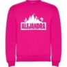  Sudaderas personalizadas Basica Fortnite