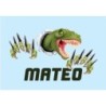  Cuadros infantiles Personalizados Dinosaurio 001- Cuadro personalizado con nombre- Cuadro personalizado niño dibujo