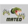  Cuadros infantiles Personalizados Dinosaurio 001- Cuadro personalizado con nombre- Cuadro personalizado niño dibujo