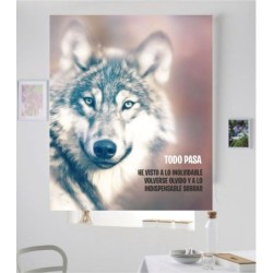 Estores con Frases Motivadoras Lobo 02