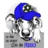  Estores Juveniles Personalizados Perro 008