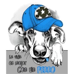 Estores Juveniles Personalizados Perro 008