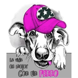  Estores Juveniles Personalizados Perro 008