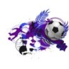  Estores Juveniles Futbol 020