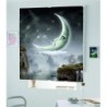 Estores Juveniles Noche 002