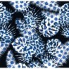  Estores Estampado Flores Tropical 003