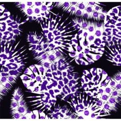  Estores Estampado Flores Tropical 003