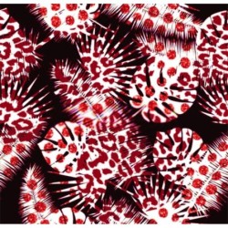  Estores Estampado Flores Tropical 003