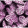  Estores Estampado Flores Tropical 003