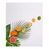 Estores Cocina Fruta Tropical 001