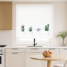 Estores Cocina Cactus 105