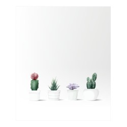 Estores Cocina Cactus 105