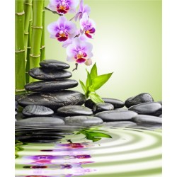 Estor Enrollable de Baño Zen 003 a Medida | Diseño Spa Natural