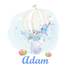 Estores Infantiles Personalizados Globo Niño- Estor infantil Niño Animales- Estor Infantil Cuarto Bebe